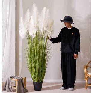 大型高芦苇草狗尾巴草仿真绿植室内客厅落地植物造景装饰假花