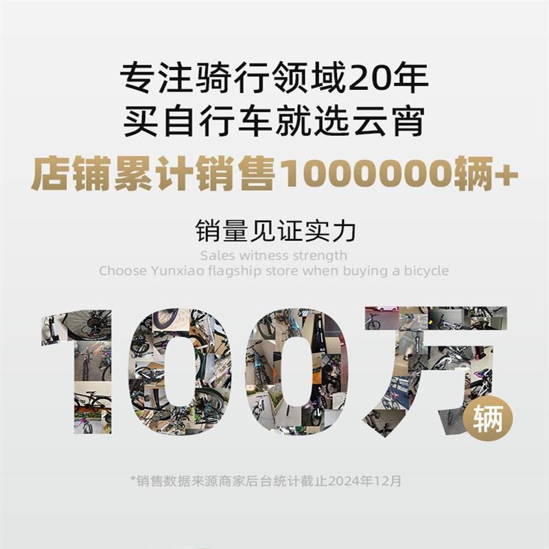 免安装变速自行车 城市通勤折叠车20E寸轻便单车高碳钢车架双折叠