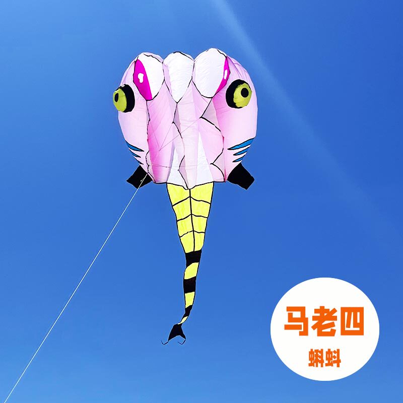 青州马老四风筝j高档成人伞布专业级蝌蚪易飞特大软体立体大风筝