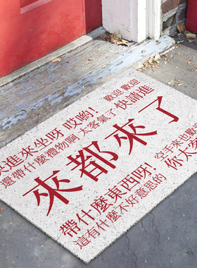 来都来了地垫入户门垫ints风垫子门外地毯进门口丝圈防滑脚垫家用