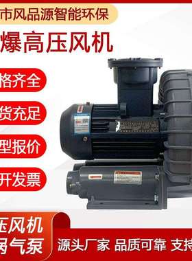 厂家供应石油化工设备用防爆高压风机2GH610-H16隔水气旋涡气泵