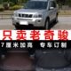 2013老款 奇骏11 2012 13年2011 后备箱垫子尾箱垫全包围防水皮