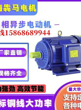 国标足功2率电动机0k2k15kIIC18.k11k等YE200L-4极5三相80v