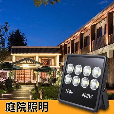 LE涌D10TNC-FLK0W200W防雷抗浪投光灯户外工程高0亮光灯泛探照灯