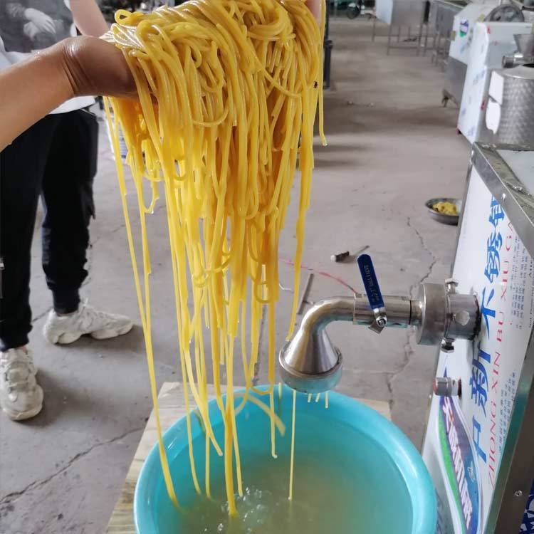 天诚牌商用自熟玉米面条机 不锈钢酸汤子馇条机价格