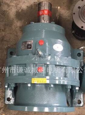 国贸/国茂型号XW8-43速比1/43卧式双轴型输入轴型摆线针轮减速机