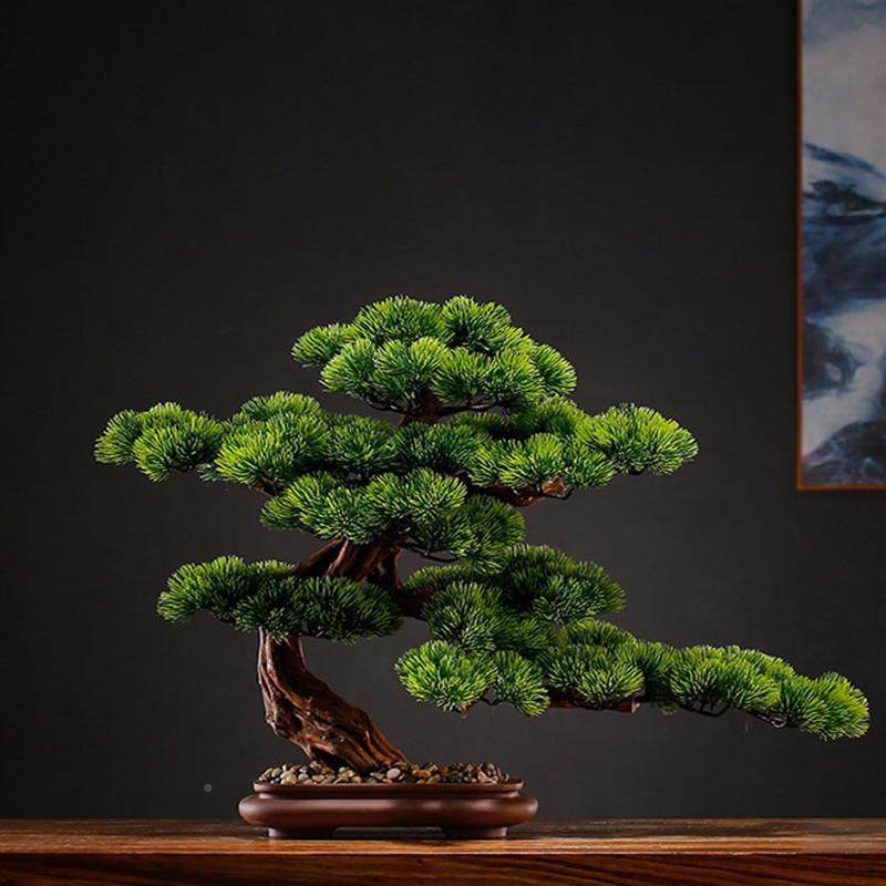 客松新盆景绿植造景酒店装迎饰树中玄式SW725727关崖柏罗汉松摆件