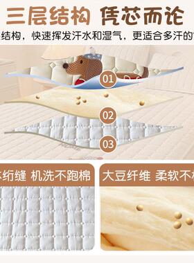 加厚水棉大豆夹棉床洗笠单件儿床套罩学生童舍单宿SX202411人床垫
