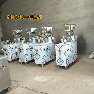 玉米碴子面条机五谷杂粮面条机米线机玉米颗粒面条机生产厂家