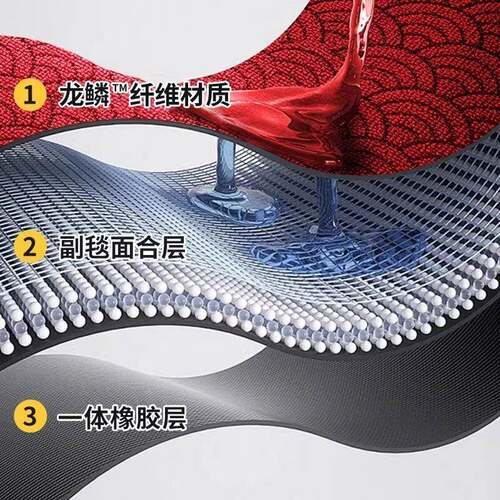 入户门地垫家用别墅进0门RKO脚垫22新款耐脏蹭5免土脚垫打理地毯