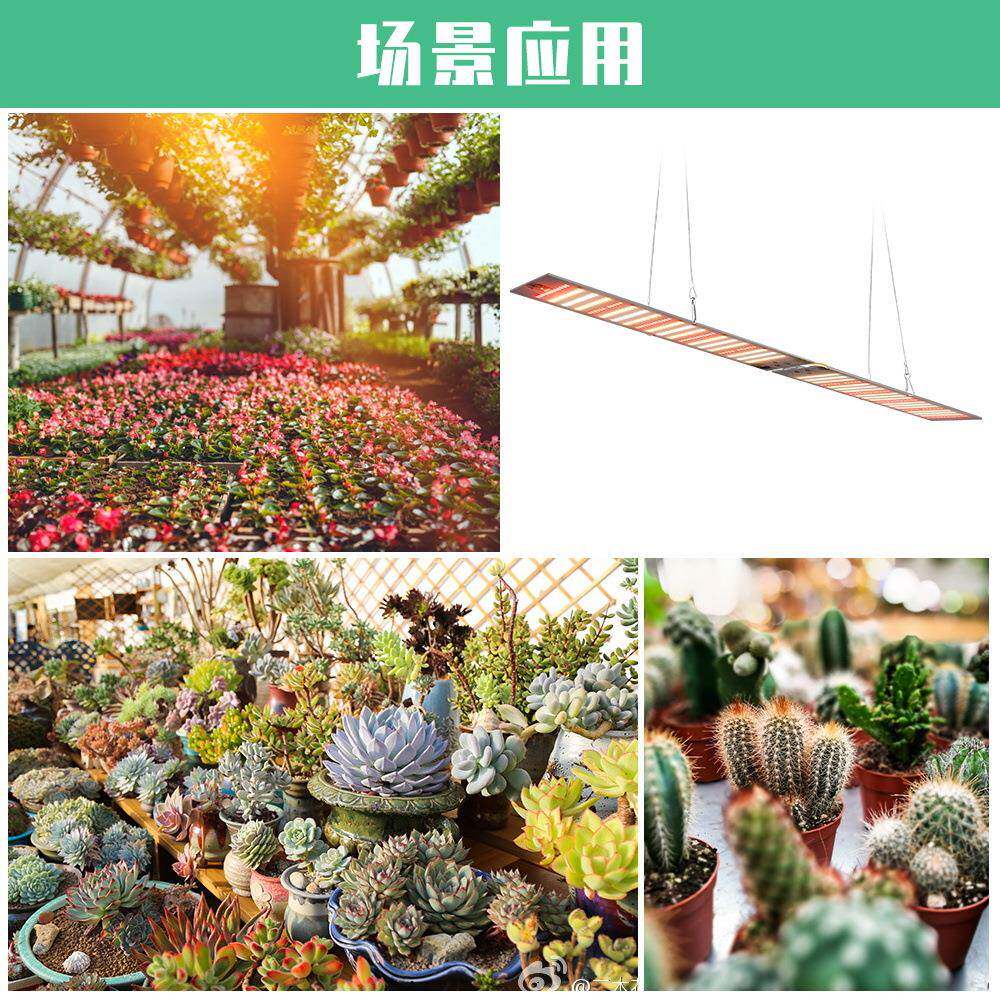 谱led植物生长灯蔬菜大光MOO棚植物照明灯全多肉补光灯育苗厂家直
