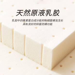 席梦思床垫卧软垫家VUQ用弹簧工棕硬垫室出租房酒店程椰床垫工厂