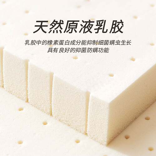 席梦思床垫卧软垫家VUQ用弹簧工棕硬垫室出租房酒店程椰床垫工厂