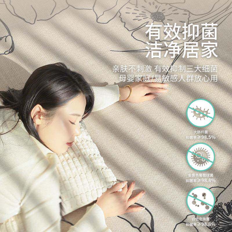 津毯客免洗可擦地毯卧室耐脏2025新地款厅JR-20250天地毯地垫大面