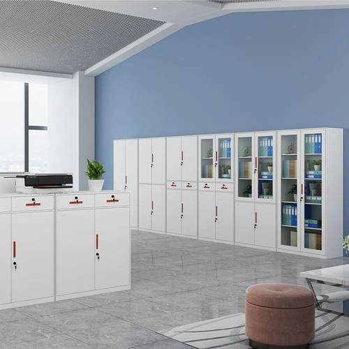 钢制档窄带-001拆装边文件柜办公财务铁皮柜抽屉玻璃门锁资料案收