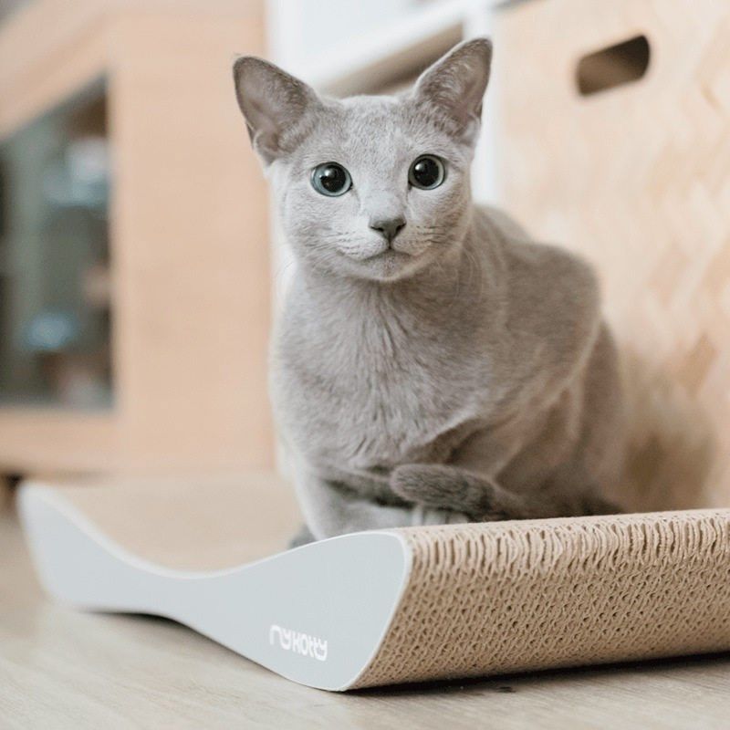 大号一体式猫抓板猫窝高端立体瓦楞纸猫咪玩具耐磨耐抓猫咪磨爪器,宠物/宠物食品及用品,猫抓板,淘宝优惠券,粉丝福利购,淘宝优惠卷