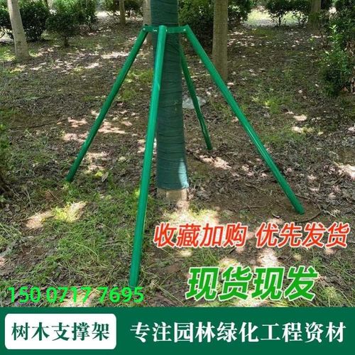 园林绿化镀锌钢管树木支撑杆树木支撑架大树防风支架树木固定支架