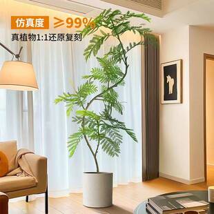 厂家仿真A款/B款/蓝花生楹绿植落室内客厅盆景装饰地盆栽仿绿t植