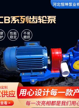 铸铁YCB圆弧齿轮泵 自吸式抽油润滑泵 电动输送液压齿轮泵