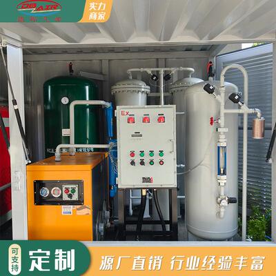 工业PSA制氮机 化工厂用制氮机 氮气机设备厂家 高纯度氮气装置