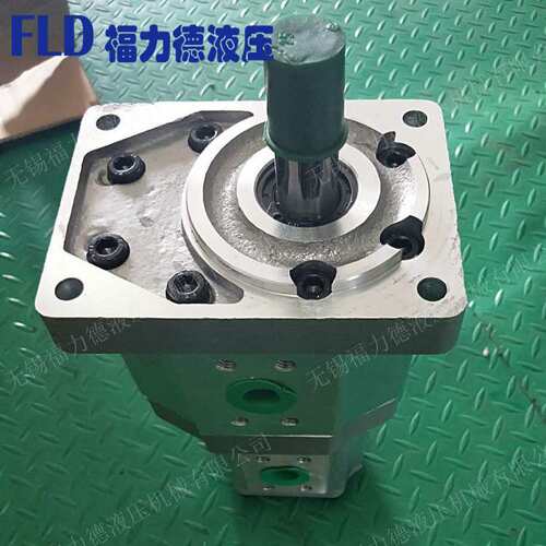 厂家直销CBQT-F540/F416-CFH,CBQT-E563/F410-CFH双联齿轮油泵