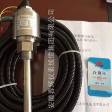 CE-P3100-A00-BBB-000-DDD-E00 三参数组合探头