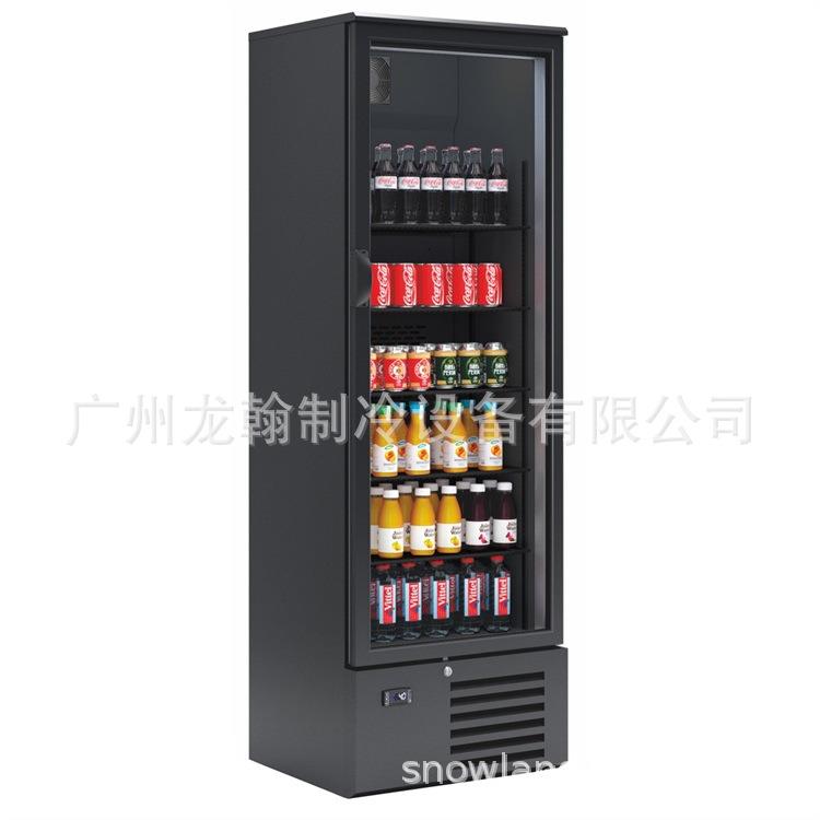 饮料柜商用立式双门冰柜冰镇啤酒柜展示柜水果保鲜柜冰箱