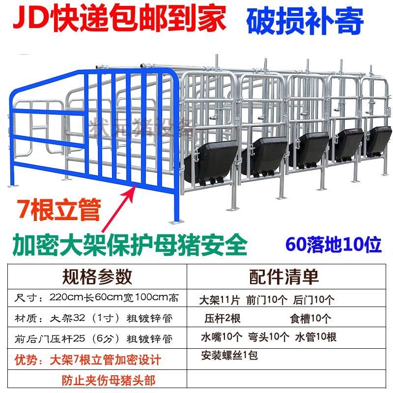 母猪定位栏加厚热镀锌限位栏带粪板10位5位任意选择落地式定位栏