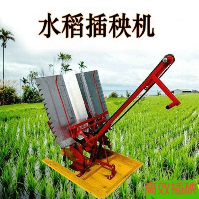 插秧机手摇式水稻新式两行插禾机小型插秧机种植机农用耕种机工厂
