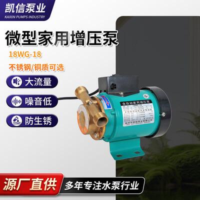 厂家直供现货18WG-18铜制微型管道增压循环泵增压泵管道增压泵