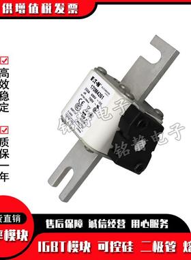 170M4243 170M4244 170M4245 170M4246 170M4247熔断器型号齐全