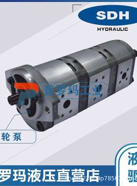 SDH齿轮泵液压泵双联油泵CBDa-F410 CBDa-F416 CBDa-F425