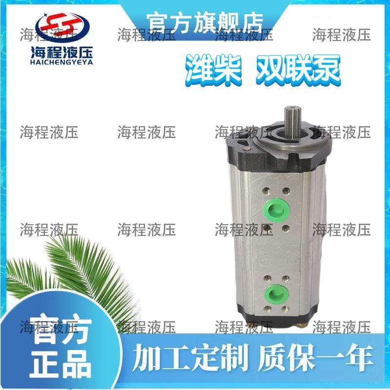 2CBT-F4/F4系列东方红LG双联泵 FG1804-2204潍柴双联泵