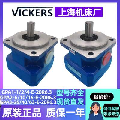 上海机床厂油泵 GPA3-25/40/63-E-20R6.3 海绵发泡机内啮合齿轮泵