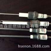 2燃烧器燃烧机配件 RM200燃烧器点火棒 100050 电极棒 100049