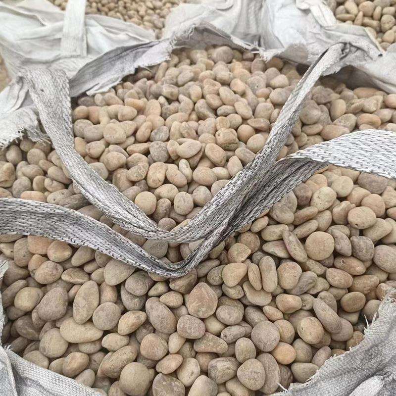 黄色鹅卵石 园林造景黄色石子 工程铺路铺地专用黄色石头厂家