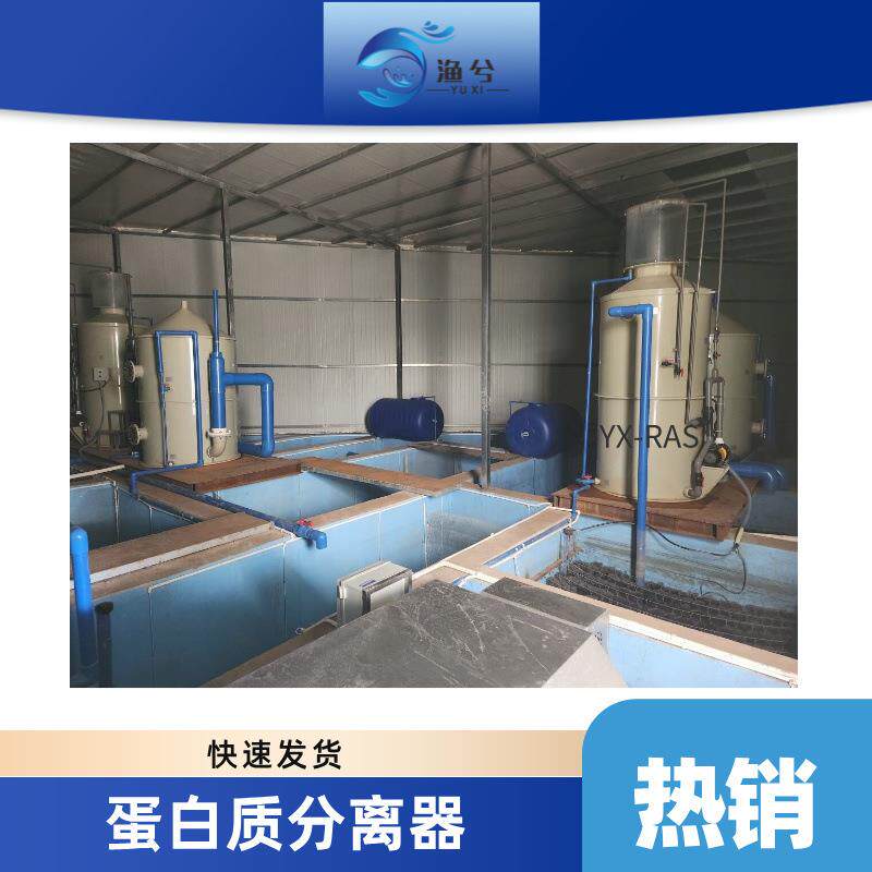蛋白质分离器工厂化循环水白对虾蟹养殖泡沫分离器海鲜池过滤器