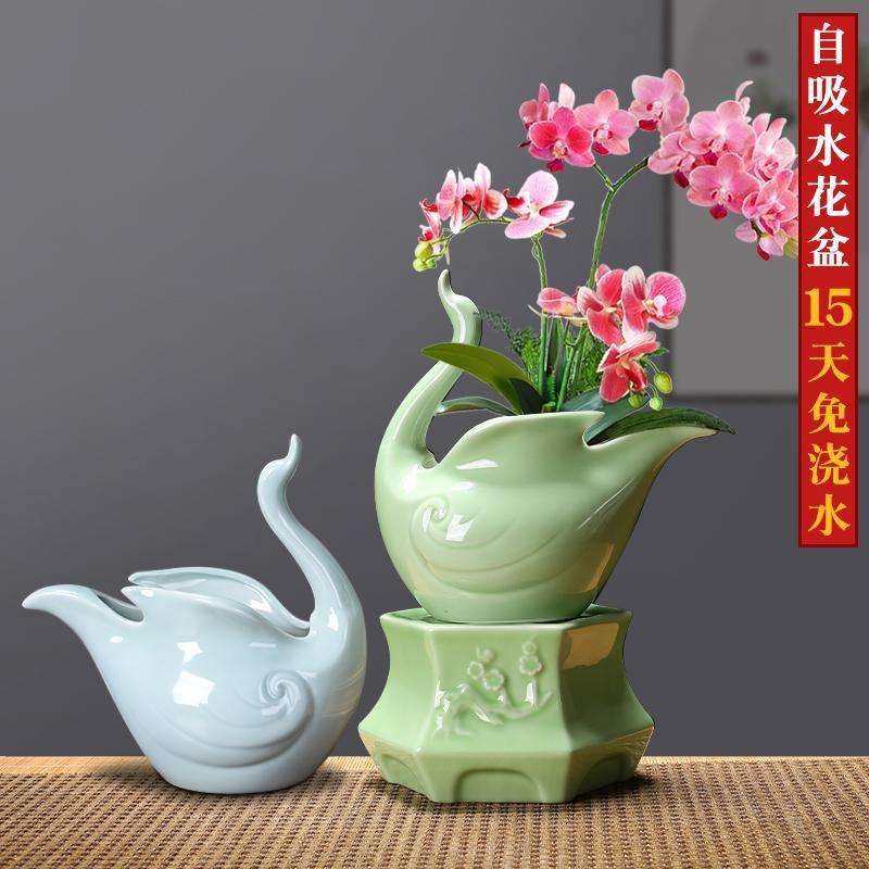 创意蝴蝶兰碗莲陶瓷青瓷绿萝铜钱草绿植物个性桌面简约水培花盆瓶