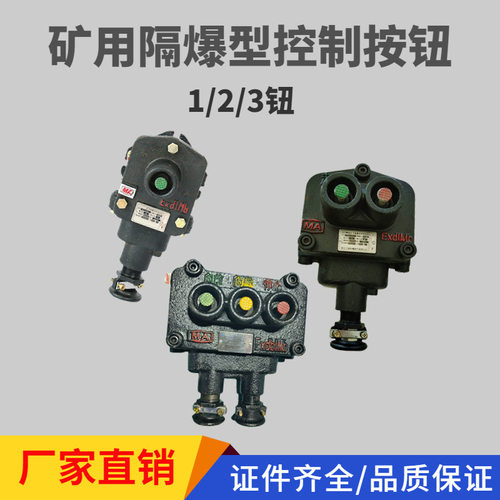 BZA1-5/36-2矿用隔爆型控制按钮双联防爆开关煤矿用1钮2钮3钮按钮