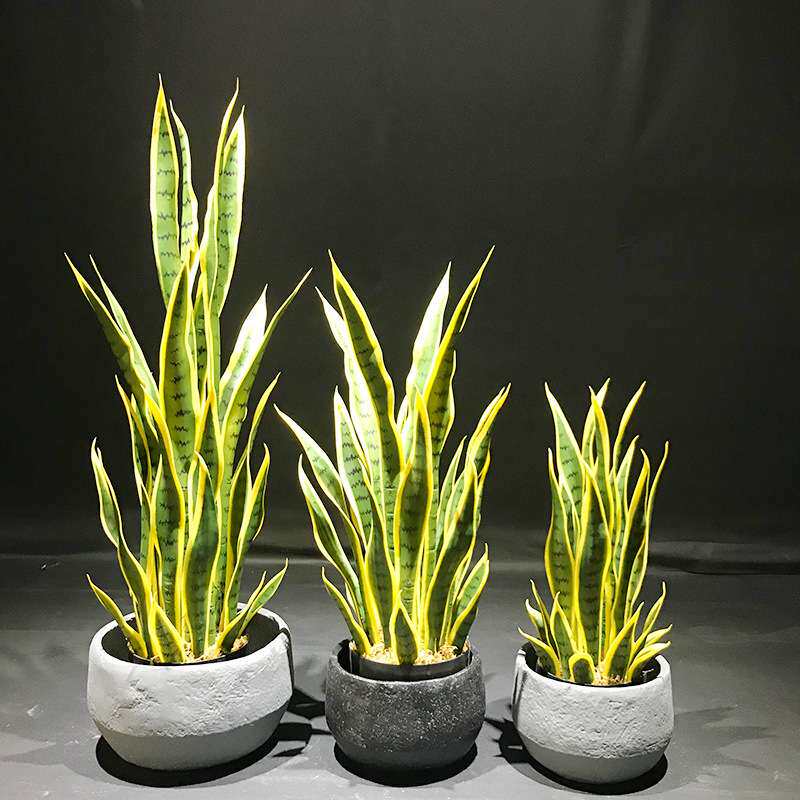 人造植物仿虎皮兰绿植盆栽 办公室酒店景观假榕树摆件盆栽