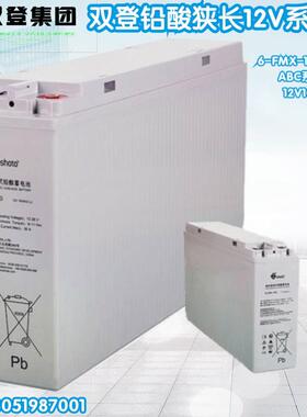 双登12V100AH狭长铅酸免维护蓄电池6-FMX-100B/C/A网络机柜基站用