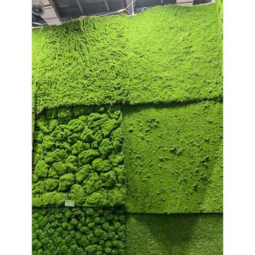 绿植墙青苔草坪苔藓草坪青苔盆景场景橱窗假苔藓软装装饰