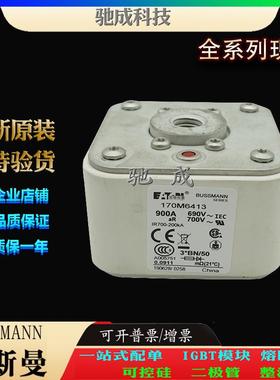 巴斯曼170M6480 170M6481 170M6482 大量现货厂价销售 原装熔断器