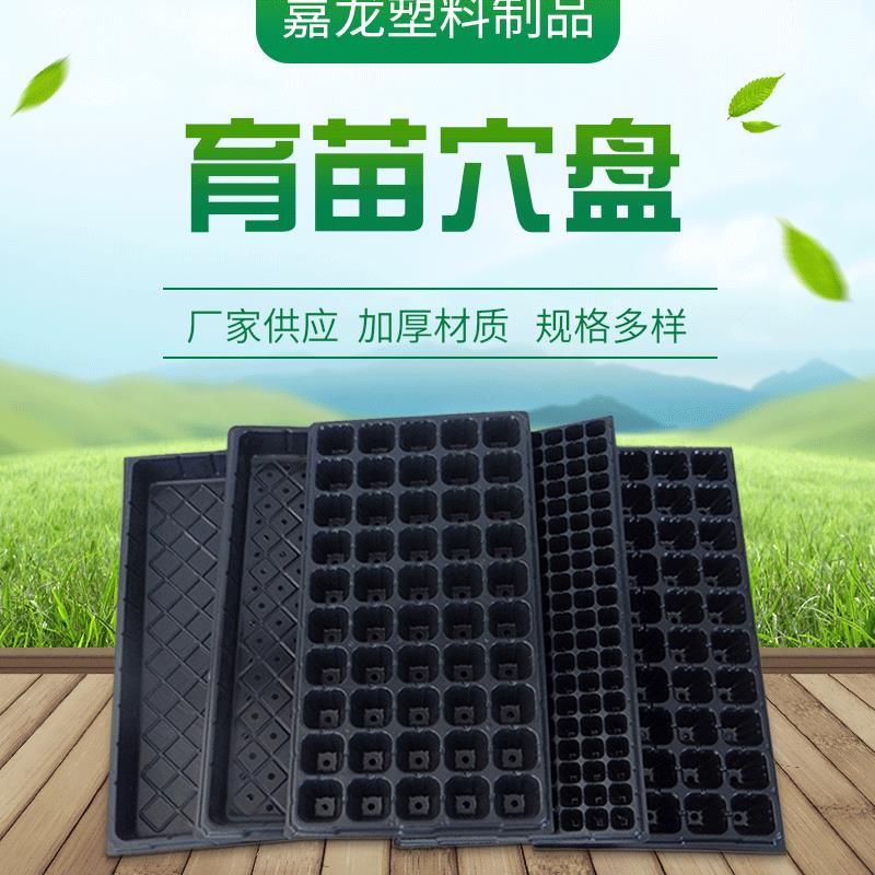 现货育苗穴盘 育苗盆 园艺加厚长方形育苗盆 蔬菜芽多肉花盆