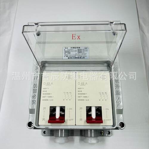 BPZ40防爆配电箱/2路40A50防爆开关断路器EXdeIICT6空气开关断路
