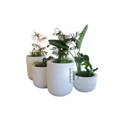 新款 花盆创意大花缸实惠户外街道大号种植花箱 玻璃钢圆形个性