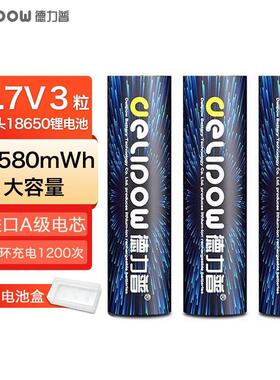 德力普(Delipow) 18650锂电池 3.7v充电电池大容量锂电池充电器强