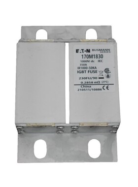 170M1848 170M1849 170M1850 170M1851 170M1852 170M1853熔断器