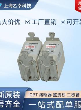 巴斯曼熔断器 170M2061 170M2062 170M2063 170M2064 170M2065