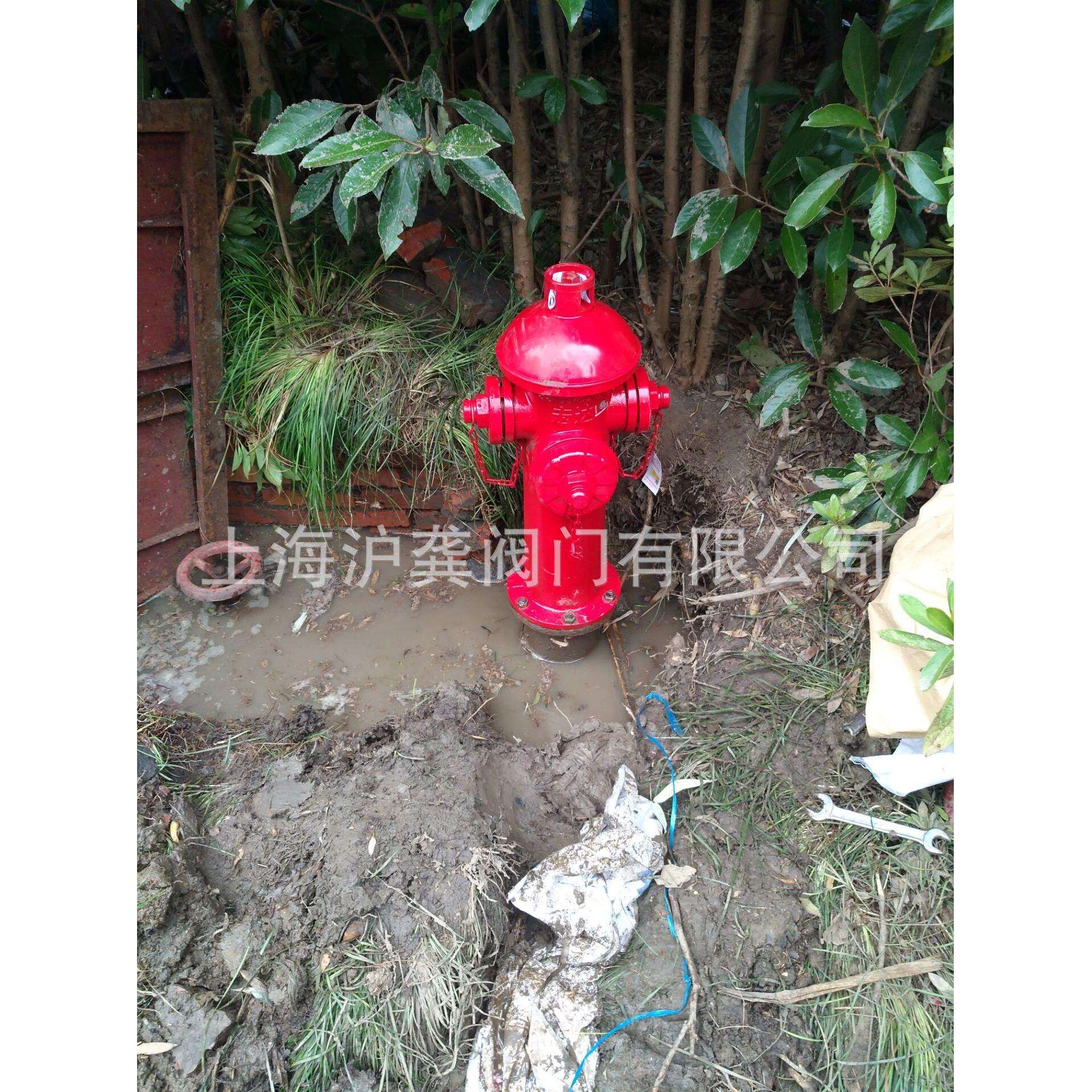 鼎梁室外栓 山东鼎梁地上栓 室外消火栓 水泵接合器 SS100/65-1.6